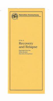 IP No. 6 Recovery and Relapse
